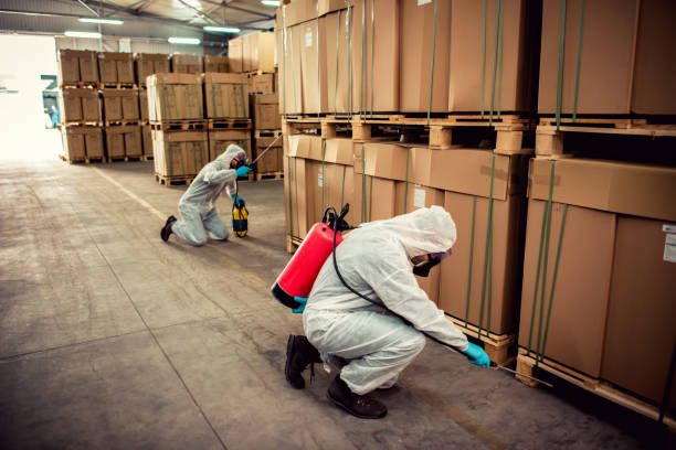 Best Affordable Pest Control Services  in Moncks Corner, SC