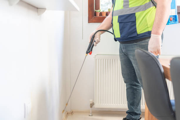 Best Flea Control Services  in Moncks Corner, SC