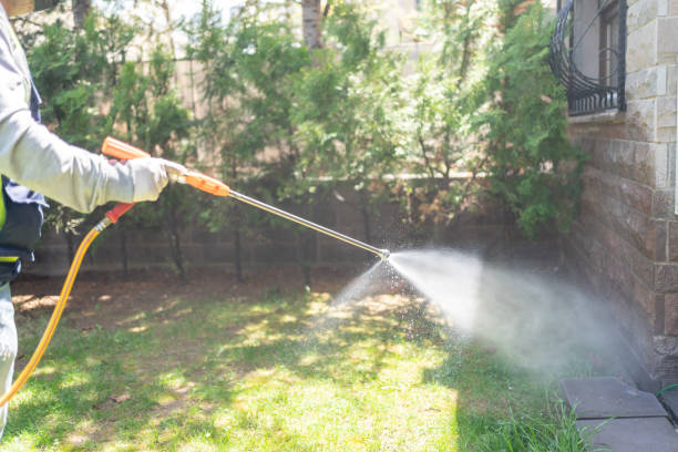 Best Mosquito Control Services  in Moncks Corner, SC