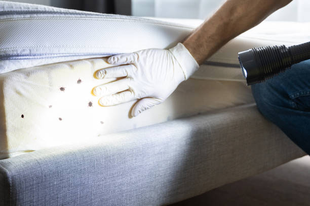 Best Affordable Pest Control Services  in Moncks Corner, SC