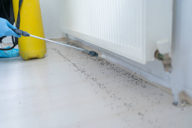 Pest Prevention Services in Moncks Corner, SC