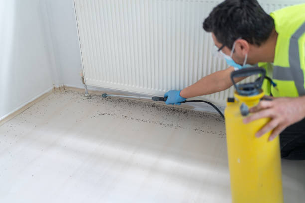 Best Pest Prevention Services  in Moncks Corner, SC