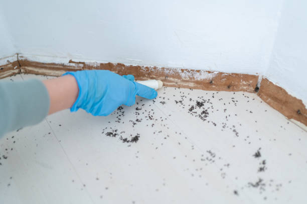 Pest Control for Restaurants in Moncks Corner, SC